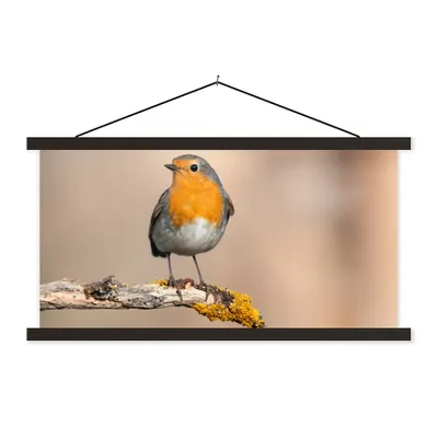 Produktbild von MuchoWow® Textilposter Rotkehlchen - Vogel - Zweig - Tiere 120x60 cm mit schwarzem Rahmen - Dekoration Schlafzimmer