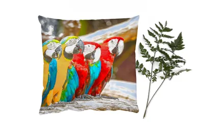 Produktbild von MuchoWow® Zierkissen Sofakissen Wohnzimmer Dekokissen 50x50 cm Vögel - Papagei - Tropisch - Natur - Komfort - Sofakissen