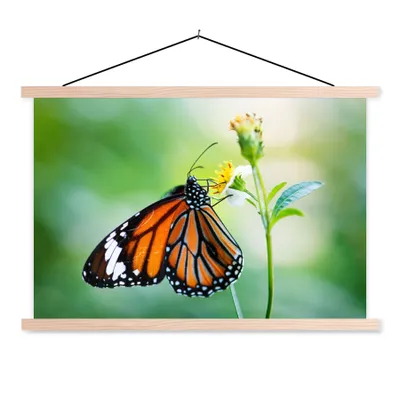 Produktbild von MuchoWow® Textilposter Schmetterling - Blumen - Insekten 120x80 cm mit holzfarbenen Rahmen - Aufhängeset