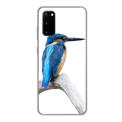 Produktbild von MuchoWow® Handyhülle Schutzhülle Hülle für Samsung Galaxy S20 Eisvogel - Zweig - Schnabel Silikon Softcase Handy Hülle - Bild
