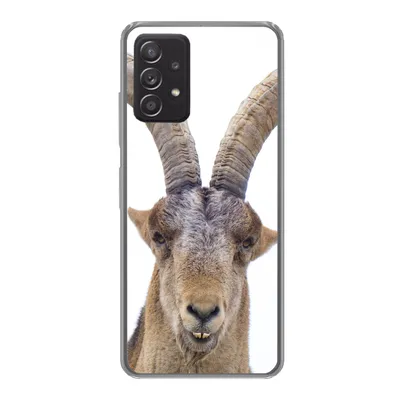 Produktbild von MuchoWow® Handyhülle Schutzhülle Hülle für Samsung galaxy a73 Steinbock - Tiere - Hoorn Silikon Softcase Handy Hülle - Handyhülle