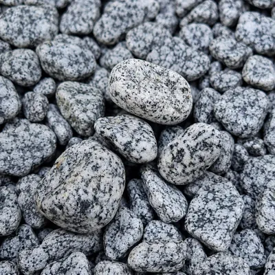 Dalmatiner-Zierkieselsteine (gepunkteter Granitkies) dicht aneinander liegend im Detail