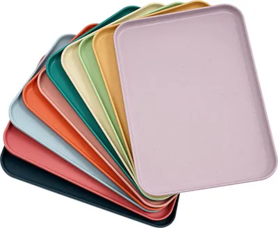 Image de Plateaux de service - Lot de 20 pièces - Rectangulaires - 31 x 22 cm - Réutilisables - Plastique - Multicolores