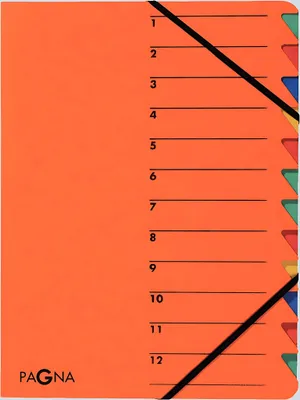 Produktbild von Pagna 24131-12, Karton, Orange, A4, 240 mm, 320 mm