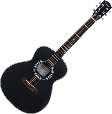 Produktbild von Pasadena PT-100 Black Akustikgitarre