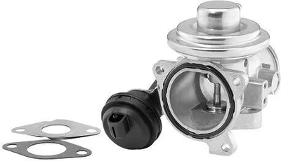 Obrázek produktu pro Ventil AGR BORG WARNER 7241D