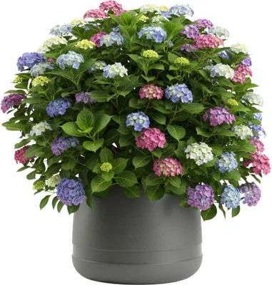 Immagine prodotto di HowHomely | Vaso per piante - Fioriera - L42xH32 cm - grigio - Vaso da fiori - Vaso per piante - Decorativo