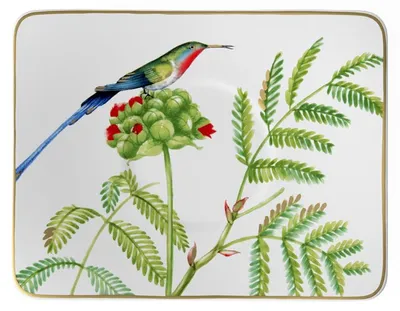 Productafbeelding van Amazonia koffiekopje | Villeroy & Boch | Art.-nr. 1035141310 | EAN 4003686194496 | Afmetingen: 175 x 136 x 20 mm