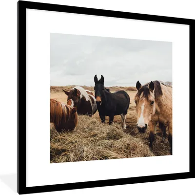 Produktbild von MuchoWow® Gerahmtes Poster Tiere - Pferd 40x40 cm - Poster mit Schwarzem Bilderrahmen Wandposter Rahmen Foto Bilder - Poster - Plakat im Rahmen