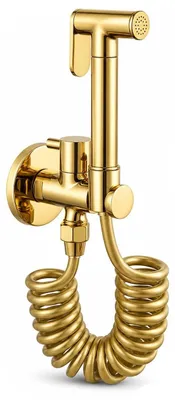 Handbrause WC Aufhängung, Duschkopf & Schlauch, Gold, Messing
