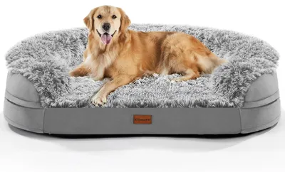 Produktbild von Gimars 9,5 cm Dickes XL Orthopädisches Hundebett für Sehr Grosse Hunde, Stützend