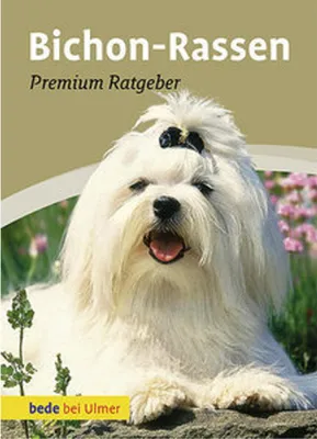 Image de Bichon-Rassen