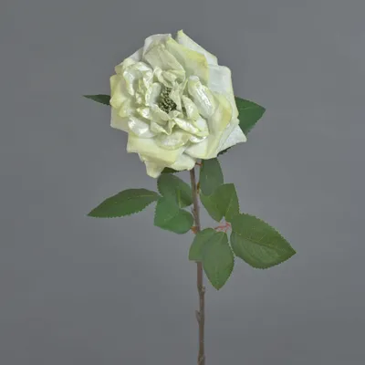 Produktbild von artplants.de Samt Rose YUFAN, Creme, 60 cm - Künstliche Stielblume