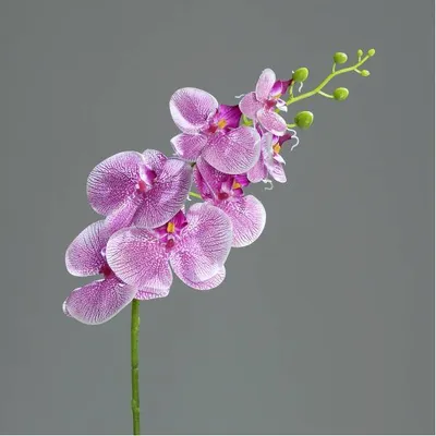 Produktbild von künstliche Orchidee Phalaenopsis mit 7 Blüten und Knospen L. 83cm lila DPI WA