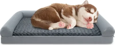 A husky puppy sleeping on a dog bed.