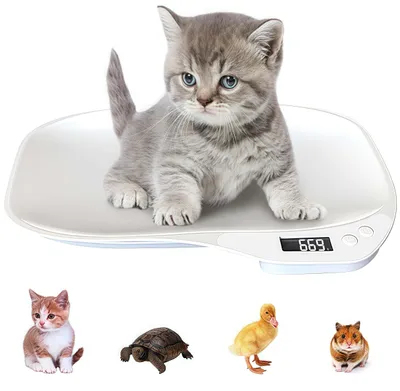 Produktbild von Tierwaage für Kleine Tiere, 15kg/1g, LCD Display Haustierwaage mit 4 Wiegemodi (oz/ml/lb'oz/g) für Kleinen Katzen, Hunden, kleines Haustier