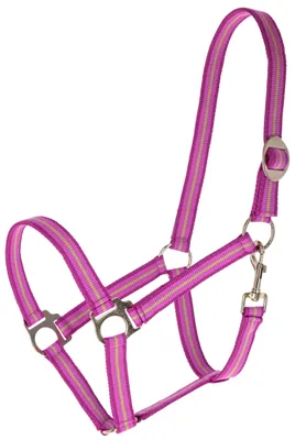 Produktbild von Covalliero Halfter Hippo light berry/walnut FS 2026, Größe:Cob