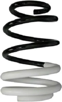 Produktbild von SPIDAN Fahrwerksfeder Vorne für RENAULT Clio III Schrägheck (BR0/1, CR0/1) 88009