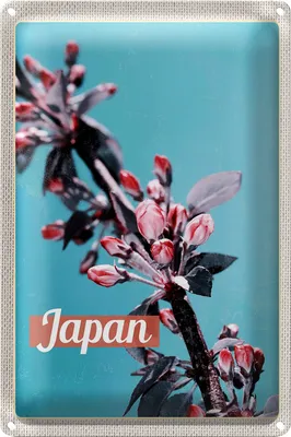 Produktbild von Blechschild Reise 40x30cm Japan Asien Blumen Baum Knospe Urlaub