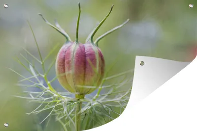 Produktbild von MuchoWow®