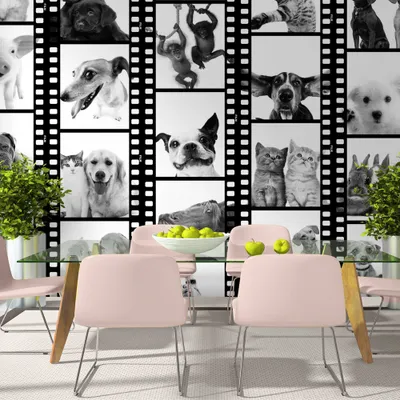 Produktbild von PURO TAPETE selbstklebend 10m Wandtattoo dekorative Möbelfolie Dekorfolie Fotofolie Panel Wandaufkleber Wandposter Wandsticker - Tiere Katze Hund Pferde Schwein Kaninchen g-C-0026-j-d