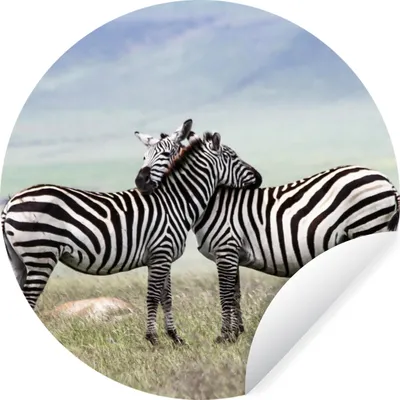 Produktbild von MuchoWow® Runde Wandtattoo - Wandsticker Tapete Aufkleber Zebra - Stofftier - Savannah Ø 100 cm Selbstklebend und Repositionierbar - Wandaufkleber - Kreis - Tapetenkreis - Wandbild rund - Schlafzimmerdekoration - Wanddeko - runde Tapete - Kunst für zu Hause