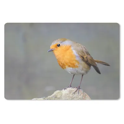 Produktbild von MuchoWow® Mauspad Mousepad Vogel - Rotkehlchen - Felsen 27x18 cm - Mousepads - Maus Mat - Pad - Mausunterlage - Büroartikel - Desk Matten