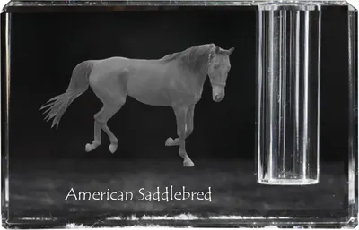 Zdjęcie produktu dla Art-Dog Stojak na długopis – American Saddlebred
