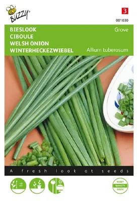 Produktbild von Buzzy Seeds Schnittlauch Grober Kräutersamen - 1 Saatgutbeutel