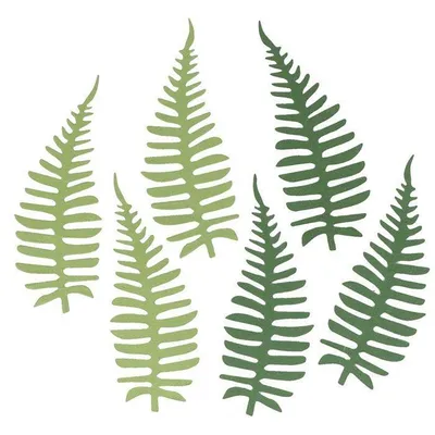 Image de 6 feuilles de papier - fougères vertes