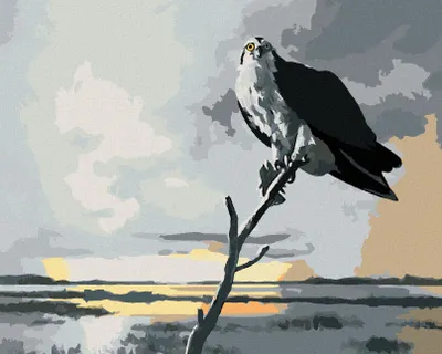 Produktbild von Zuty - Malen nach Zahlen - ADLER AUF EINEM AST UND WOLKEN (D. RUSTY RUST), 40x50 cm, mit Keilrahmen (bereits gespannt)
