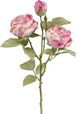 Produktbild von Deko-Blume 3er VINTAGE ROSE