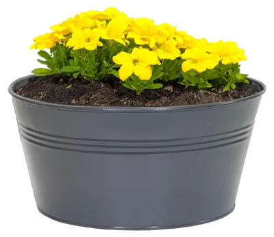Produktbild von Mega Collections Pflanzentopf Bob -Zink - anthrazit - D25 X 12 cm