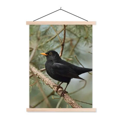 Produktbild von MuchoWow® Textilposter Vogel - Amsel - Zweige - Tiere 40x53 cm mit holzfarbenen Rahmen - Schlafzimmer