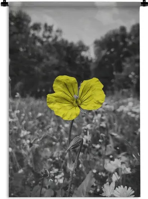 Produktbild von MuchoWow® Wandteppich Wandbehang Blumen - Gelb - Schwarz - Weiß 60x90 cm Tapisserie Dekoration Wandtuch - Foto-Teppich - Abwaschbar
