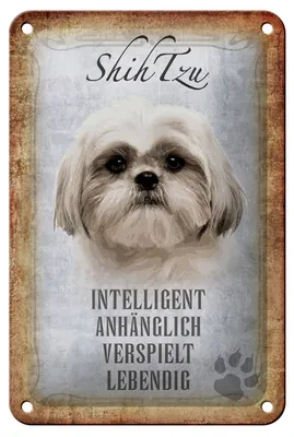 Produktbild von Blechschild Spruch 12x18cm Shih Tzu Hund Schild