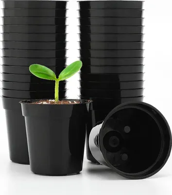 Obrázok produktu pre Mini plastové kvetináče - 50 kusov, priemer 5,4 cm, čierne - na semená, sadenice, zeleninu a bylinky