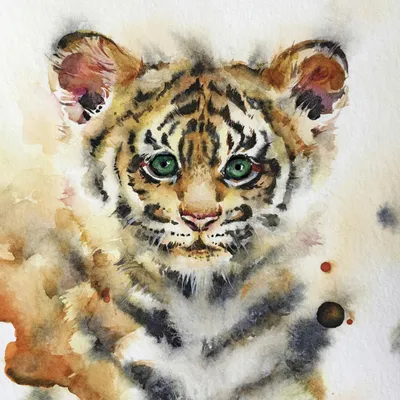 Produktbild von Keilrahmenbild Löwe 30 x 30 cm