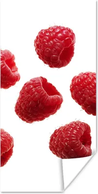 Produktbild von MuchoWow® Poster Obst - Himbeere - Weiß 20x40 cm - Plakat - Foto