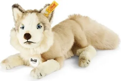Produktbild von Steiff - 080425 - Dui Husky, liegend, 27cm, Plüsch, beige