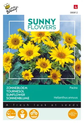 Image de Buzzy Sunny Flowers Tournesol Pacino Gold Graines - Environ 0,75 gr | Buzzy_080812