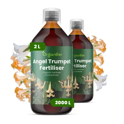 Obrázok produktu pre Anjelská Trúbka, tekuté hnojivo, 2x 1 liter – vzorec NPK 3-4-3 – vhodné pre kvitnúce rastliny – podporuje bohaté kvitnutie a silné korene – posilňuje stonky a vitalitu – organické hnojivo