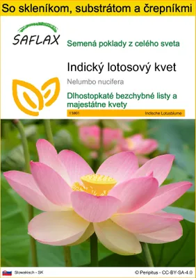 Produktbild von SAFLAX Kultivačný set - Indický lotosový kvet - Nelumbo nucifera   - 8 Semená - S mini skleníkom, pestovateľským substrátom a 2 črepníkmi