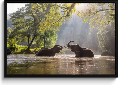 Produktbild von MuchoWow® MuchoWow® Gerahmtes Poster Elefant - Wasser - Tiere - Bäume - Sonne 90x60 cm - Poster mit zchwarzem Bilderrahmen - Fotorahmen - Foto-Plakat