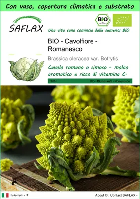 Immagine prodotto di SAFLAX Garden to go -- Cavolfiore - Romanesco - 50 semi - Brassica