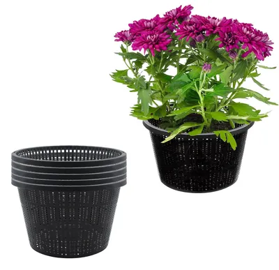 Produktbild von Set mit 6 Hydroponischen Pflanzkörben für Wasserpflanzen