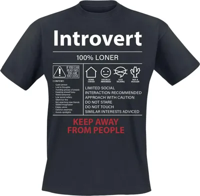 Produktbild von Sprüche T-Shirt Herren Introvert schwarz XL