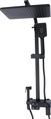 A black shower system with a rain shower head, hand shower, and controls, isolated on a white background.
