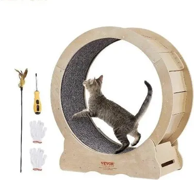 Produktbild von Famanu Katzenlaufrad - Aktives Training für Katzen - Abnehmbarer Teppich - Binnendurchmesser 80 cm