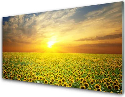 Produktbild von Küchenrückwand aus Glas 100x50cm Spritzschutz Sonne Wiese Sonnenblumen Natur